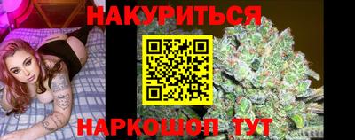 прущие крисы Нальчик
