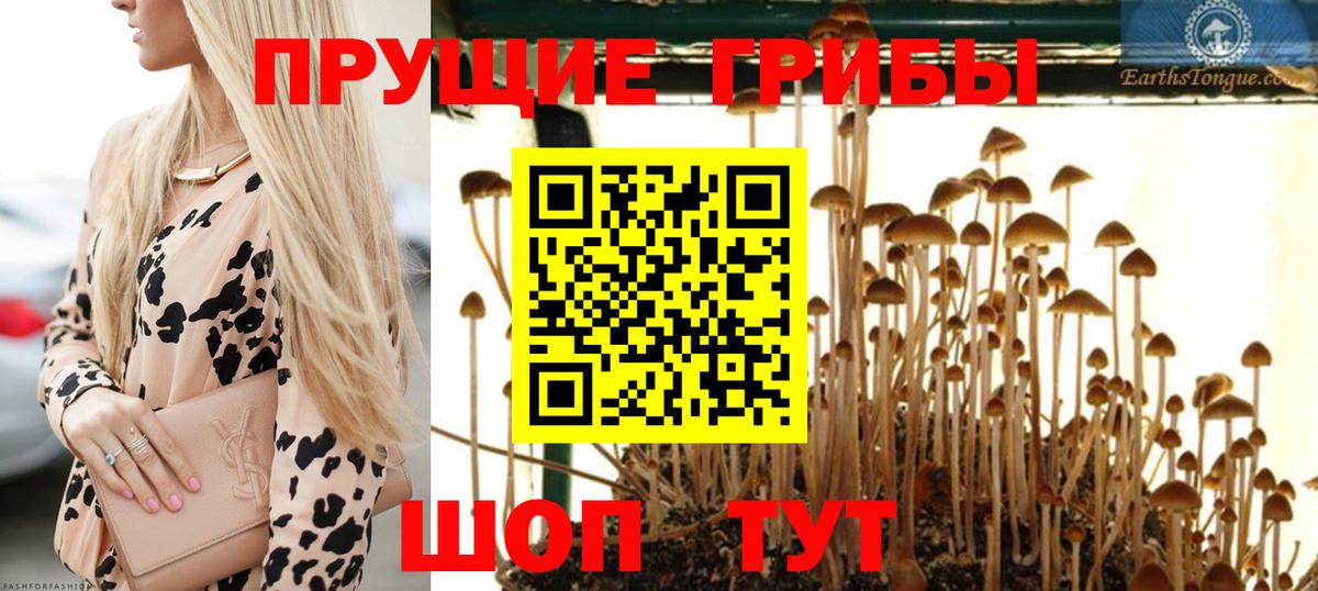 ГАШИШ  Вход с VPN  Cocaine  Бошки Шишки  МЕТАДОН  NBOMe  Чехов  МЕФ   Меф МЯУ МЯУ 