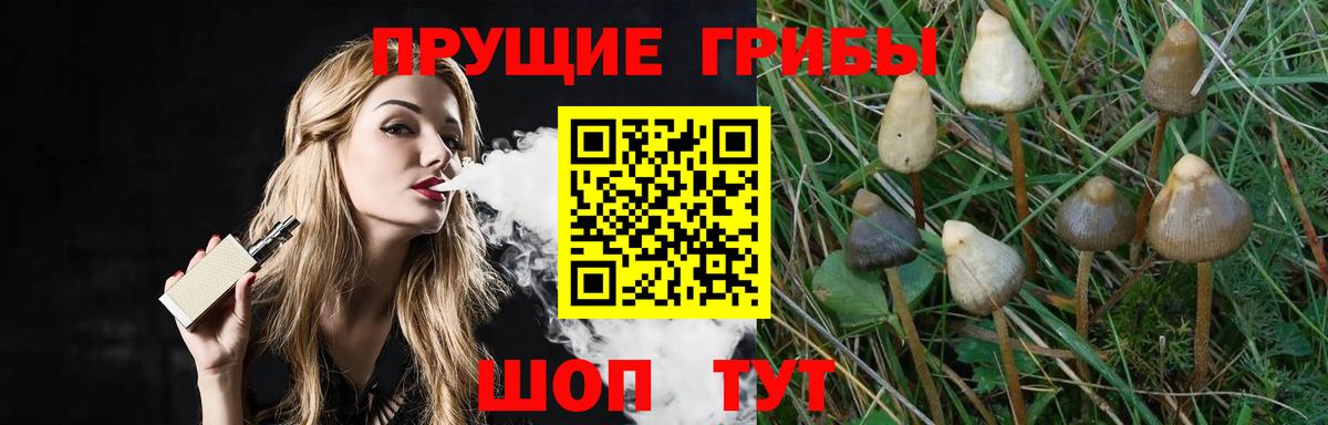 Чехов  Псилоцибиновые грибы Magic Shrooms  Галлюциногенные грибы MAGIC MUSHROOMS  Вход с VPN 